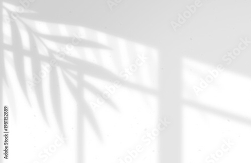 black and white background