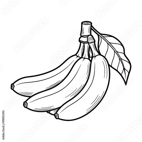 Bunch of Bananas Sketch Hand Drawn Fruit Outline Isolated on White Background for Coloring Page
