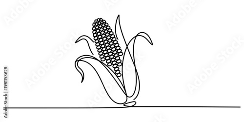 Minimalist continuous line drawing of a ripe ear of corn with its husk partially open Vector, illustration