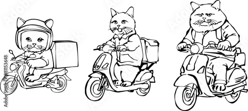 Delivery cats on scooters vector illustration for logistics and service.