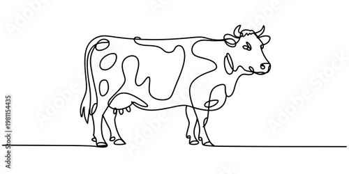 Minimalist continuous line drawing of a spotted cow standing on a flat horizontal surface. Vector, illustration