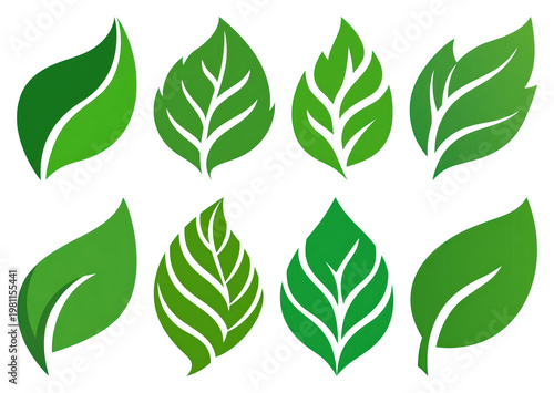 PNG Green leaf vector illustrations on transparent background