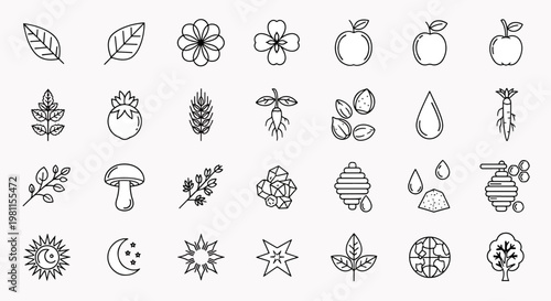 Collection of nature and organic elements icons including leaves, flowers, fruits, vegetables, trees, and sun moon symbols