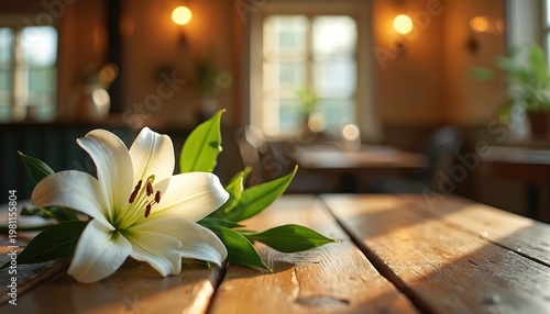 White lily flower on rustic wood table. Soft light on petals and green leaves. Cozy interior background with warm lamps and windows. Peaceful scene.