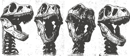 tyrannosaurus rex skull illustrations in black and white, expressive dinosaur head variations