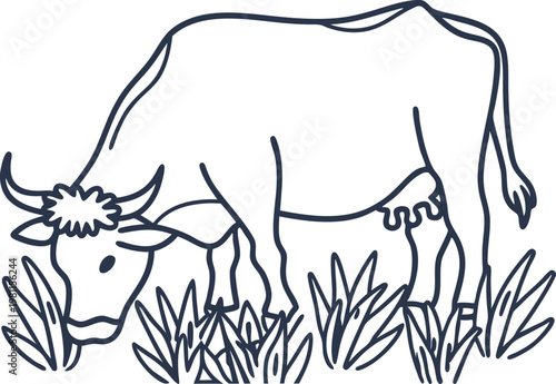 Cow grazing in grass, rural farm animal outline drawing, simple nature sketch illustration