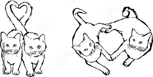 Hand drawn vector illustration of two cute cats with tails forming a heart shape.