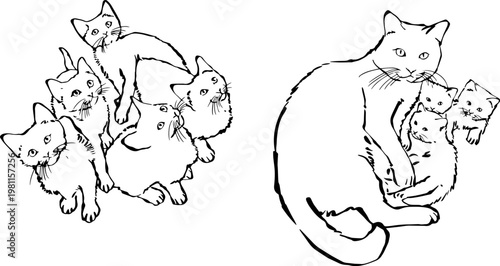 Hand drawn vector illustration of a group of kittens and a mother cat with babies.
