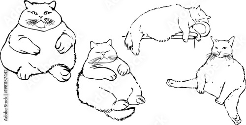 Funny Fat Cats and Obese Felines in Lazy Poses Vector Set