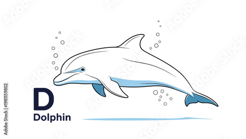 Dolphin illustration with letter D and word Dolphin for educational alphabet poster isolated on a white background.