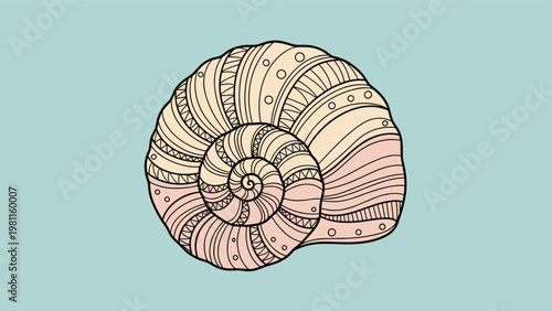 Decorative snail shell illustration with intricate patterns on a light blue background for ocean theme design art.