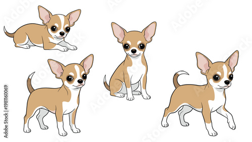 Set of cute chihuahua dogs in various standing and sitting poses isolated on a white background for pet themed designs.