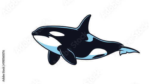 Orca killer whale swimming through the ocean in a stylish flat vector illustration featuring black and white markings and fins.