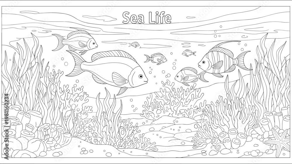 Obraz premium Coloring book page titled sea life showing an underwater scene with various fish coral reef and seaweed in a detailed outline style.