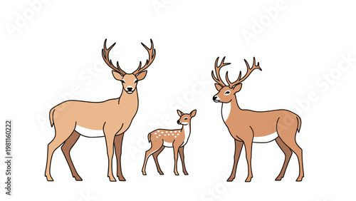 Another group of three deer with a male buck and his family standing in a clean minimalist line art style for wildlife graphics.