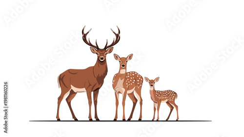Family of deer including a buck with large antlers and two does standing together in a flat vector illustration style for nature themes.