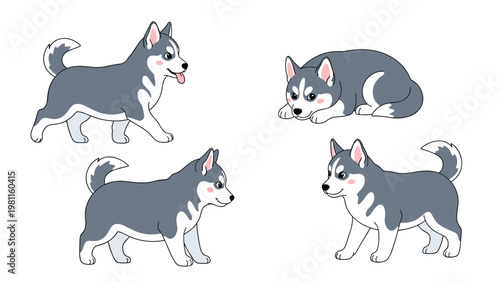 Set of four siberian husky puppies in different playful poses like sitting and walking shown in a cute grey and white illustration.