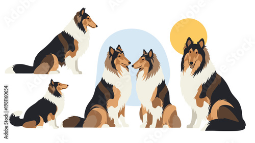 Collection of various rough collie dogs sitting and looking forward with decorative sun and arch backgrounds on white backdrop.