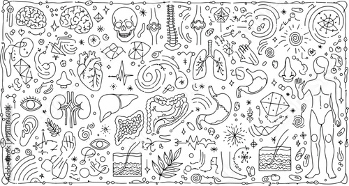 Human anatomy and internal organ systems medical health biology education body parts line drawing graphic element vector illustration doodle art and icon set