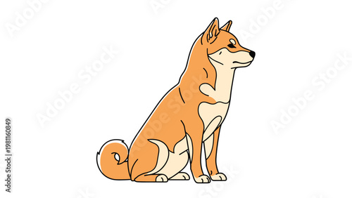 Detailed illustration of an orange and white shiba inu dog sitting and looking forward against a plain white background.