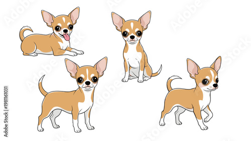 Group of four cute chihuahua dog illustrations showing the small pet in various standing, sitting, and lying poses on a white background.