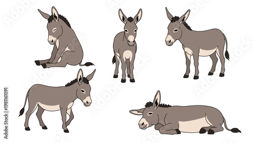 Set of five different donkey illustrations showing the animal in various standing, sitting, and lying poses for farm-themed designs.