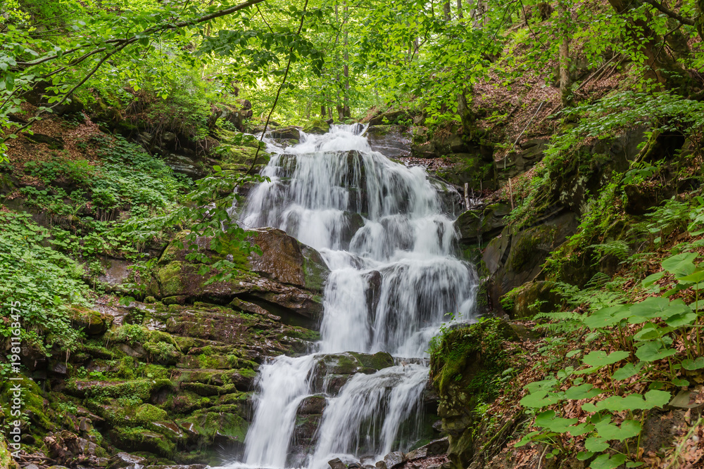 Fototapeta premium Waterfall Shypit on mountain river in beech forest in Carpathians