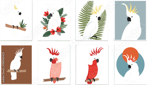 Set of Cute Cockatoo and Parrot Illustrations Featuring Tropical Birds, Floral Elements, and Decorative Card Designs