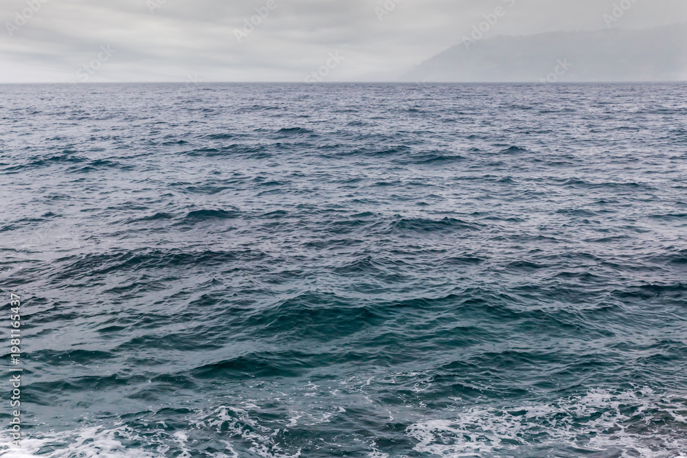 Fototapeta premium Water surface near the sea shore in overcast rainy weather