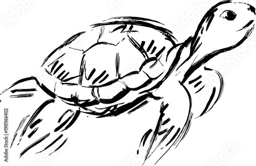 black ink sketch of sea turtle swimming with flippers in motion, marine reptile underwater