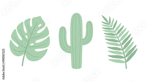 Green leaves and cactus illustration.