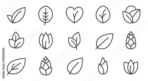 A collection of minimalist line art icons depicting various leaves, plant buds, and organic shapes, representing nature and ecology.