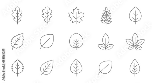 Outline icons of various tree leaves, representing different shapes and species in a minimalist line art style on a white background.