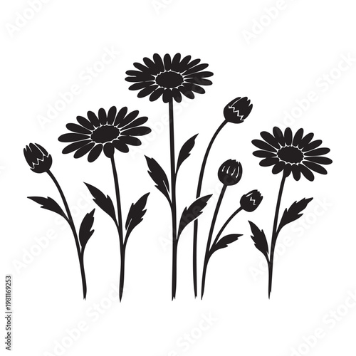 Black and white floral illustration delicate wildflowers in silhouette