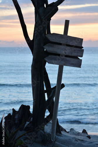 Post with wooden arrows, without inscriptions, beach with sunset and silhouette of a dead tree