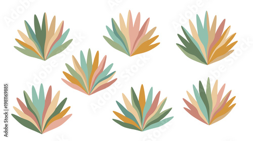 Colorful spiky plant leaves arrangement.