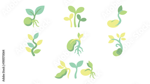 Sprouts with green leaves growing.