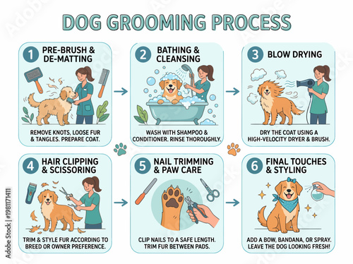Dog Grooming Process Steps Infographic