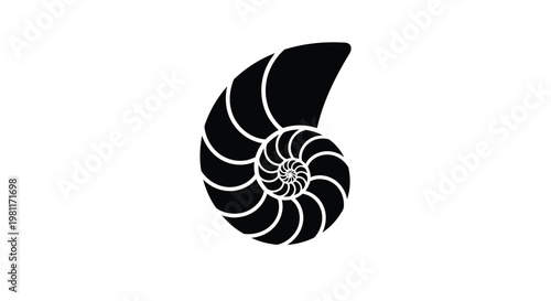 A black nautilus shell with a spiral design