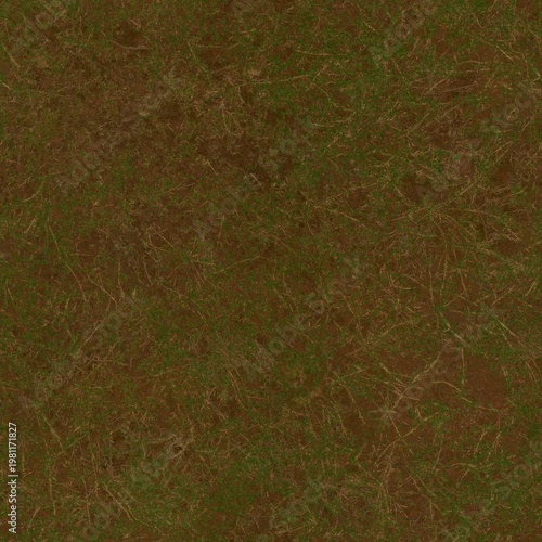 Detailed Ground Level Close Up of Earth with Grass Texture