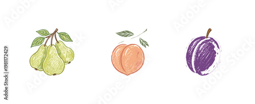 Garden Fruits and Orchard Harvest Elements with Inky Crayon Pencil Texture and Organic Calligraphic Strokes