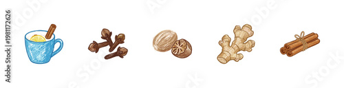 Winter Spices and Hot Mulled Drink Ingredients with Colorful Crayony Brush Strokes and Organic Calligraphic Lines