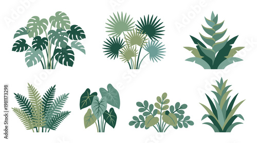 Variety of Tropical Green Plants.
