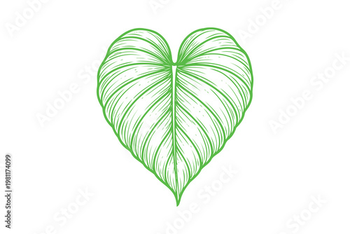 Intricate heart-shaped leaf with a vibrant green vein pattern radiating from the center Vector