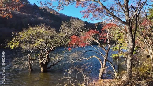 한국에 있는 주산지의 아름다운 가을 풍경