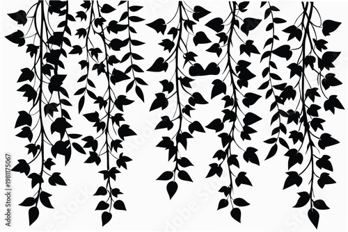 hanging ivy vine patterns leaves silhouette line art vector illustration