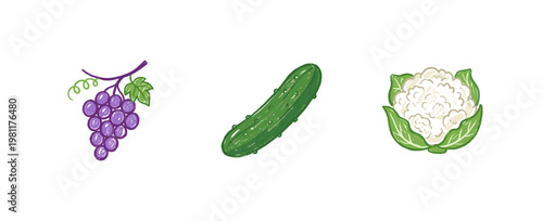 Healthy Vegetables and Fresh Fruits Harvest with Colorful Crayony Brush Strokes and Fluid Organic Outlines in Artistic Doodle Style.