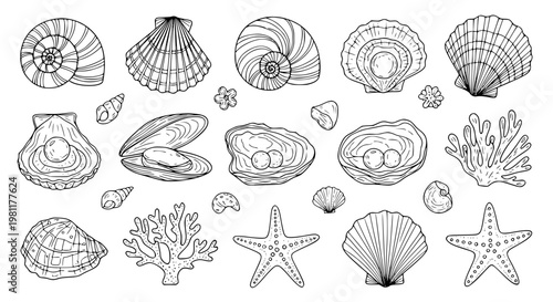 Seashell and marine doodle collection vector line art ocean life shell coral starfish set