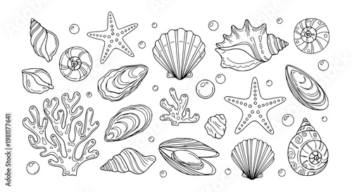 Marine seashell doodle vector set line art ocean shells coral starfish pearl illustration