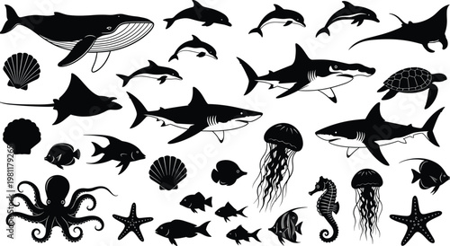 A black silhouette collection featuring a seamless vector pattern set of marine fish, sharks, and flying sea birds for a nature wildlife illustration design